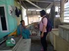 Interviewing coral fish buyers