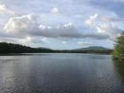 After waiting to start our sampling, I got to see an amazing view in the Caroni Swamp