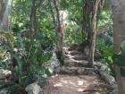 Cenotes are awesome places to visit, not just for the water, but for the surrounding environment as well! 