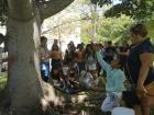 Our Mayan Culture class learning about a ritual tradition under the sacred Ya'ax che' tree 