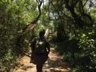Charleston and Chetumal have a lot in common when it comes to climate and environment, but they are also very different in exciting ways