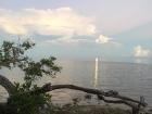 In areas where the coast is not protected, the land quickly wears away (can you spot the mangrove roots in this photo?)