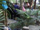 Groups in the park playing games around stone tables