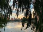 A view from my favorite park next to the university where I teach
