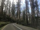 The views while driving are unmatched!