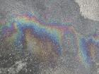 Speaking of rainbows, look at this colorful puddle!