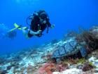 There I am, scuba diving with a turtle!