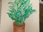 I still love to draw and paint
