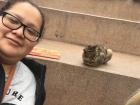 Parque Kennedy (Kennedy Park) is the home of different cats, which is why the park is nicknamed El Parque de los Gatos 
