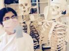 Skeletons for teaching medicine