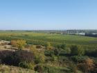 The view from the Gymnasium in Edenkoben looking out over the Rhine River Valley