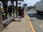 A woman waving down one of the recreativo buses, which don't have their own stops like the MIO buses do