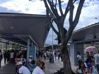 Sitting in the MIO station, you can see some common food vendors