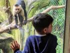 They also took us to the local zoo where I saw monkeys that only live in Colombia!