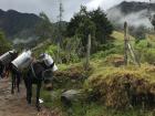 A beautiful view of the valley, with pack mules carrying a load up the trail