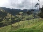 Another shot of Valle de Cocora