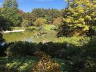 A sunny fall day in the Montreal Botanical Garden