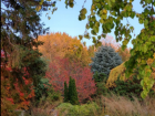 The Botanical Garden has an Indigenous Garden