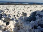 This is coral that has been bleached and dried by the sun