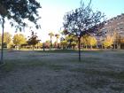This is my favorite part of my walk--the parks.