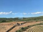 This is the view from the window of the AVE. I was passing through Tarragona, Spain