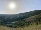 This is from the same path as above, but from a different day. The sun was very hot!