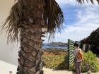 I traveled to the coast with my roommate, Daniella