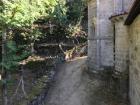 This is another photo of the courtyard at the monastery known for its chestnut trees.