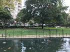 This is the pool at the Xardín do Posío, with a few ducks in the foreground and hundreds of pigeons under the tree in the background