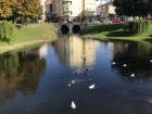 This is another view of some of the wildlife in Parque dos Condes in the center of Monforte de Lemos