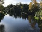 This is a picture of the River Cabe immediately above the waterfall where many of the birds try to catch fish
