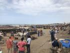 This is the famous fish market at Mbour, a city south of Dakar. Fish markets are a great place to meet people and see what kinds of fish live in Senegalese waters!