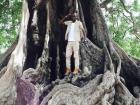 A common tree in Senegal is the baobab tree. This is my friend Lamine in front of a big baobab in Casamance (southern Senegal)