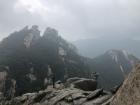 Even at these altitudes, trees can grow