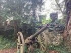 An old canon surrounded by leaves and moss