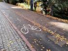 With lots of bike paths all over Germany, it's one of the most popular options for commuting! 