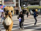 A person dresses in a cat costume to advertise for the cat cafe in Sinchon.