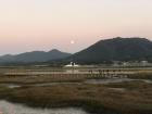 A beautiful view of nature, two swans, and a full moon.
