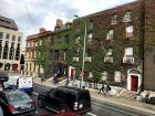 I really loved these buildings covered in ivy in the city