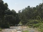 Our homestay family took us on a journey through the forest, past cassava crops and endless trees, to get to this waterfall