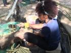 Me cutting sugarcane at a homestay