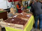 Have any of you ever eaten chestnuts before?