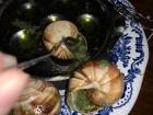 Here I am removing the snail meat from the shell