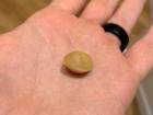 Here I am holding the hard, little ginkgo seed from inside one of the "berries"