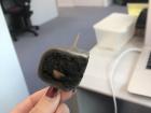 The snowy mooncake from my co-worker