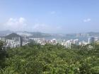 A view of Hong Kong from a trail lookout with the buildings standing tall
