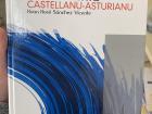This is a Castellano-Asturiano dictionary. Castellano is the name of the the Spanish language that we are used to hearing in the United States