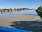 The Sava River overflowing its banks