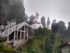 There are only thirty peace pagodas in the world, and one of them was built in Darjeeling!