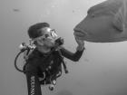 Making friends on the Great Barrier Reef in Australia